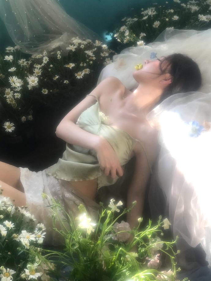 蜘蛛池访问日志的深度分析
